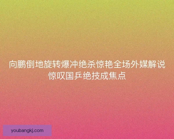 向鹏倒地旋转爆冲绝杀惊艳全场外媒解说惊叹国乒绝技成焦点