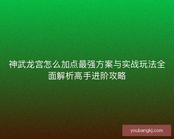 神武龙宫怎么加点最强方案与实战玩法全面解析高手进阶攻略